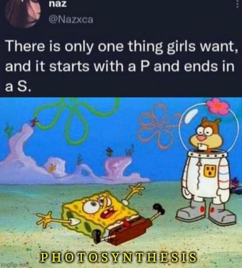 ].jpg