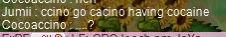 jumiicocoa.jpg