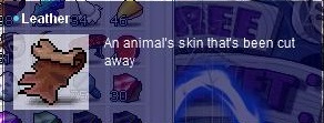 leather.jpg