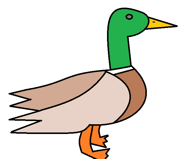 mallard.png