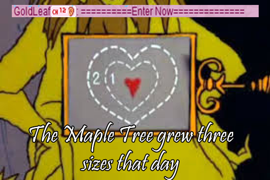 maple tree grew three sizes that day.jpg