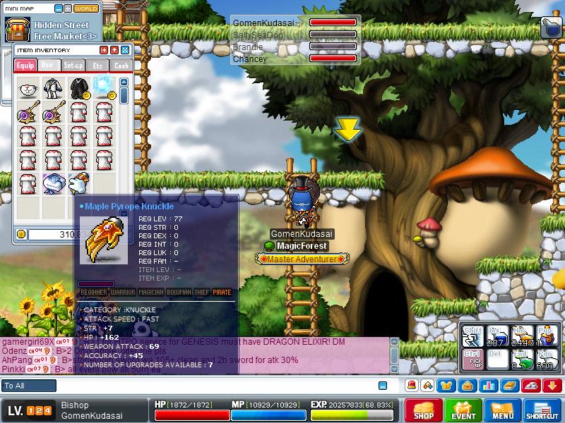 Maple0000.jpg