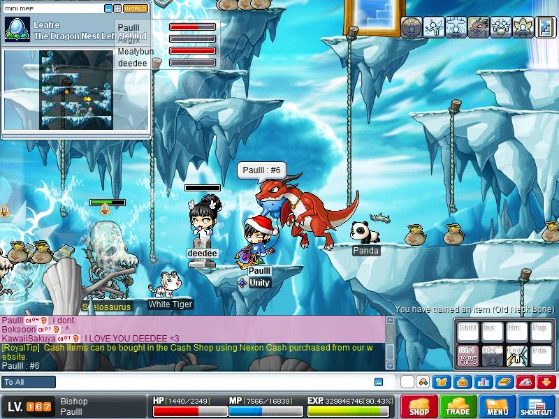Maple0002.jpg