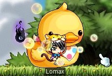 Maple0003.jpg