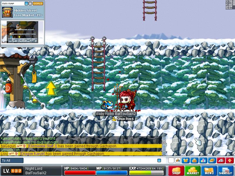 Maple0004.jpg