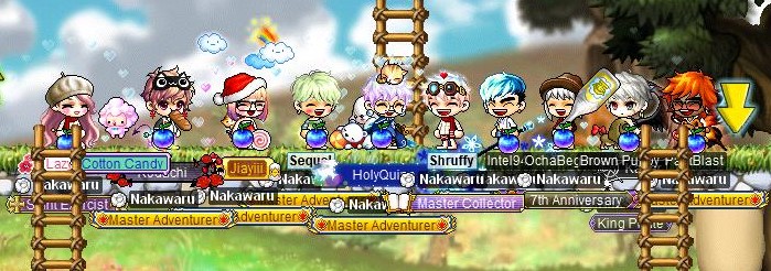 Maple0009 - Copy.jpg