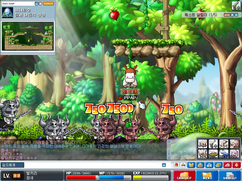 Maple0010.jpg