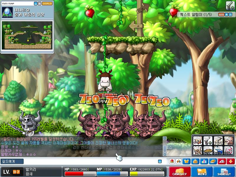 Maple0012.jpg