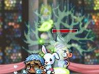 Maple0016.jpg