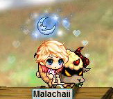 Maple0019.jpg
