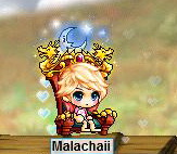 Maple0020.jpg