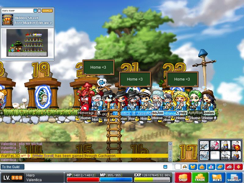Maple0211.jpg