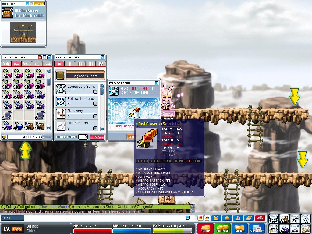 Maple0246.jpg