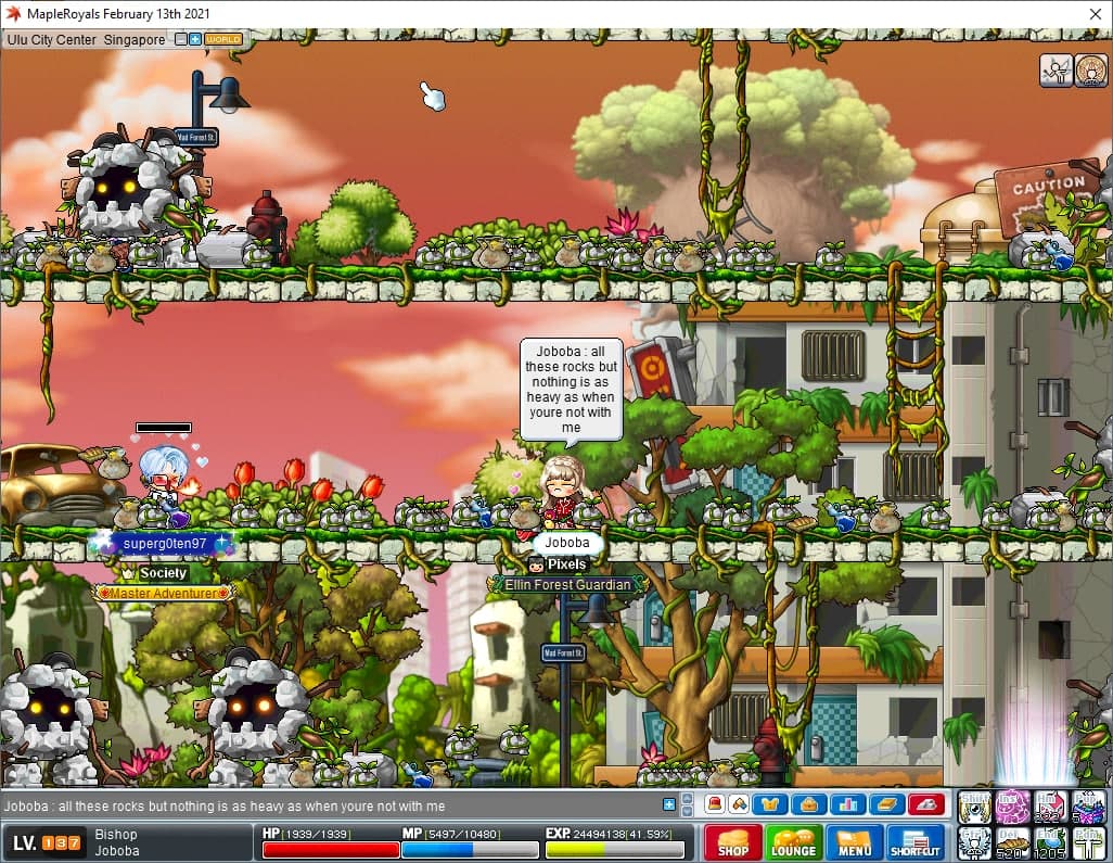 maple2.jpg