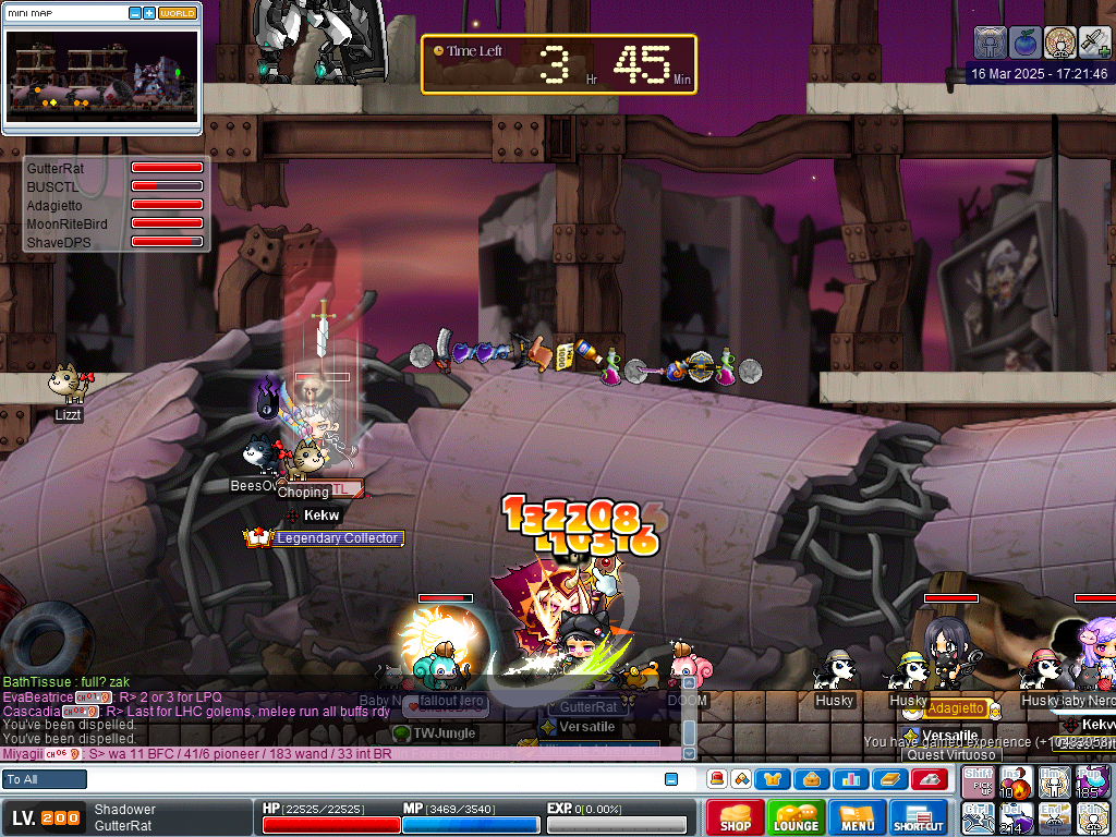 MapleRoyals 17-03-2025 01-21-48.png