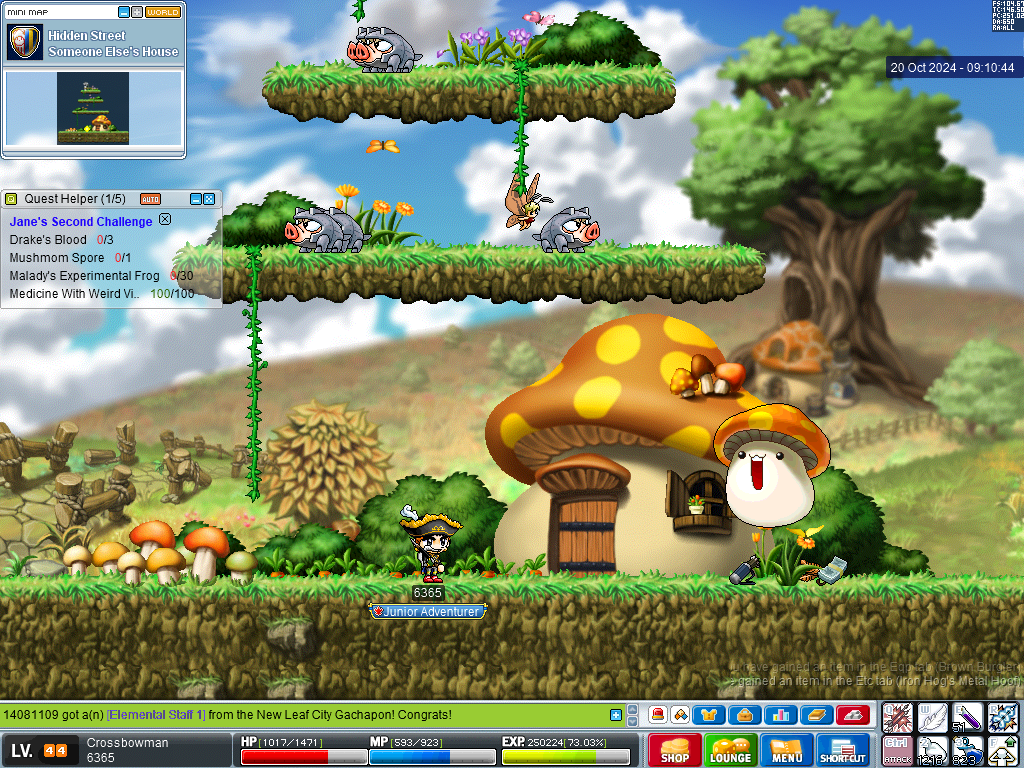 MapleRoyals 20-10-2024 12-10-45.png