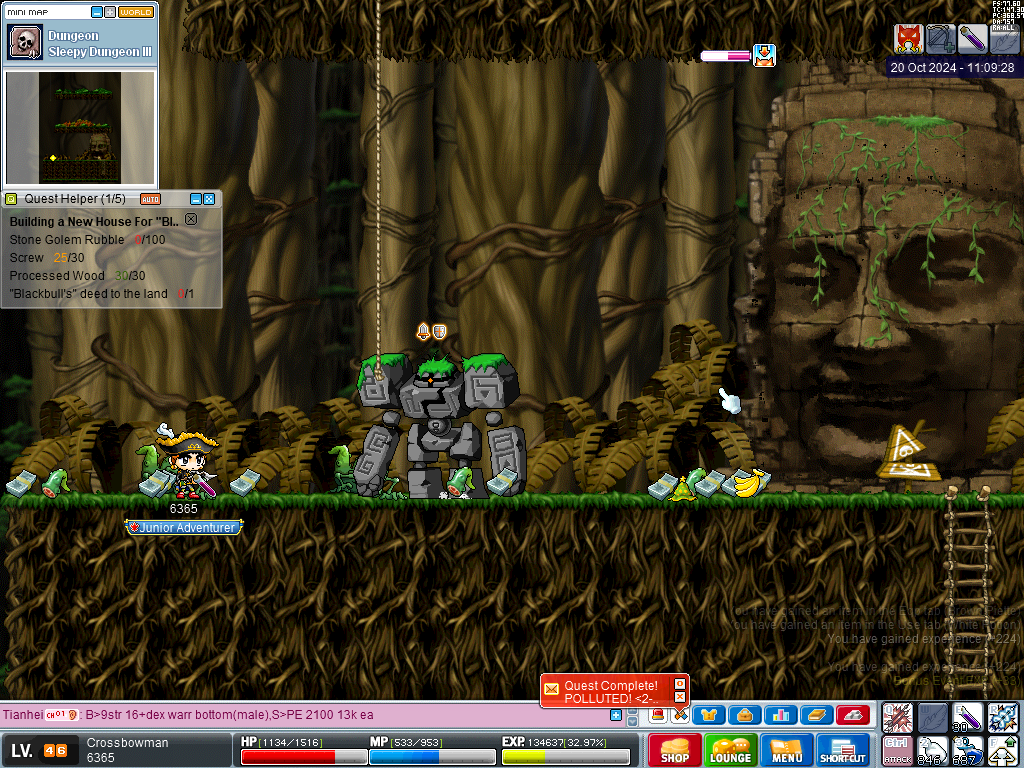 MapleRoyals 20-10-2024 14-09-29.png