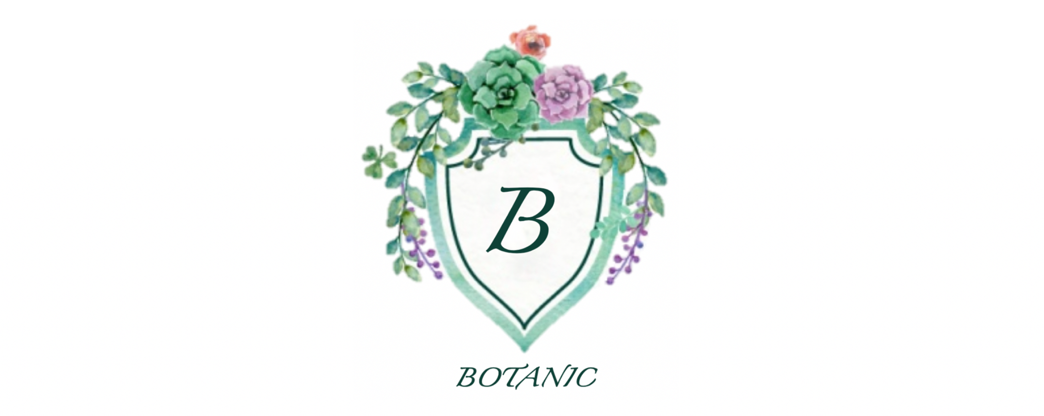 Pic1.png