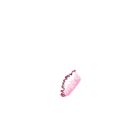 pink-05.png