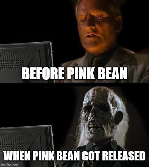 pink bean.jpg