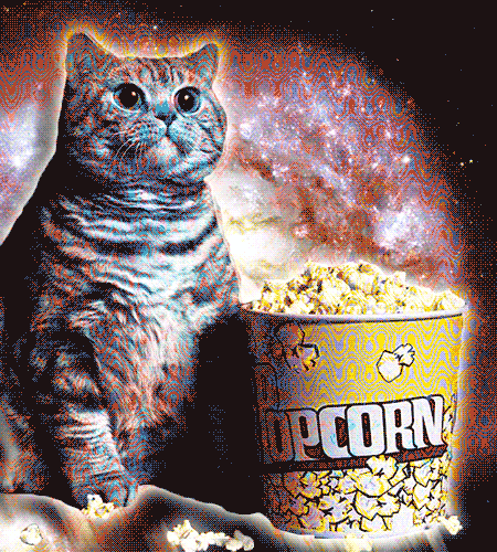 Popcorn-18-Popcorn-Cat.gif