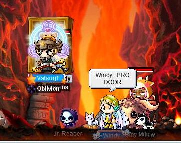Pro Door 1.jpg