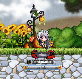Pumpkin Patch.png