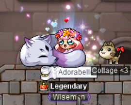 rainyfox2.png