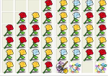 roses~.JPG