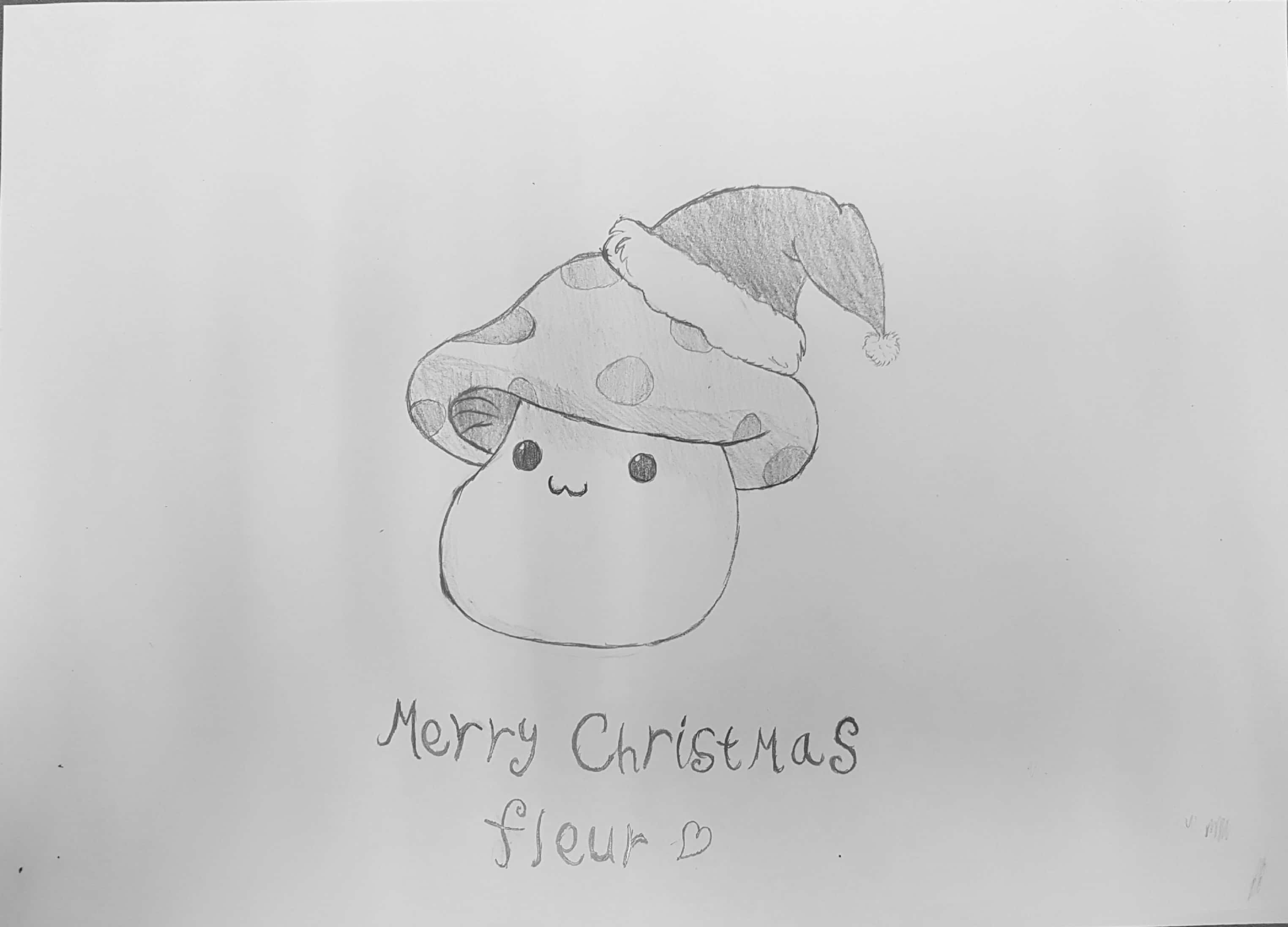 santa mush_3.jpg