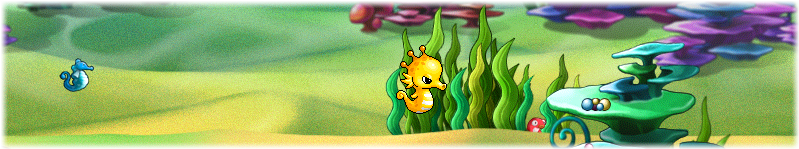 seahorse-race.png