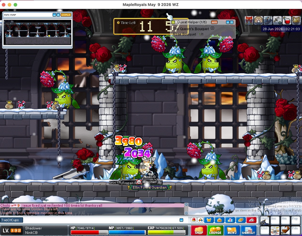 shadd rg.jpeg