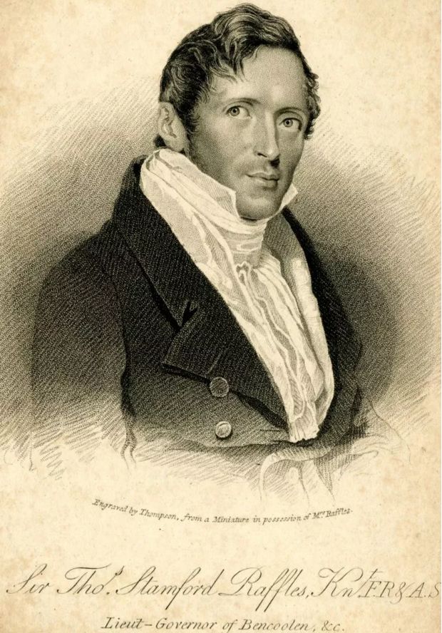 Sir Thomas Stamford Bingley Raffles.jpg