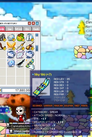 sky ski.jpg