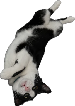 sticker1.png