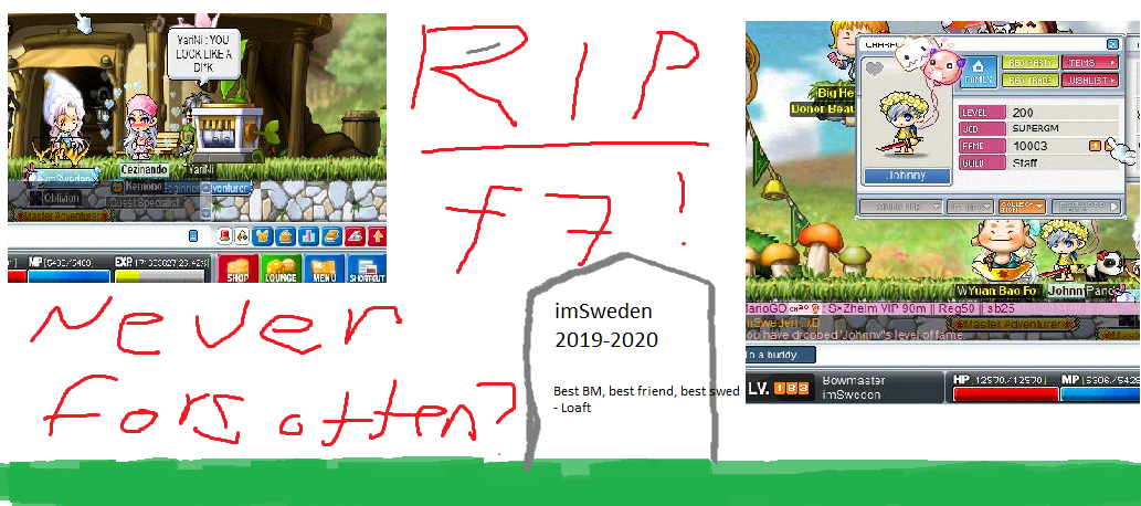 swe.png