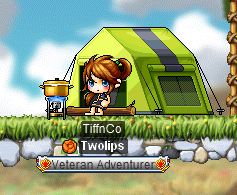 Tent Chair.PNG