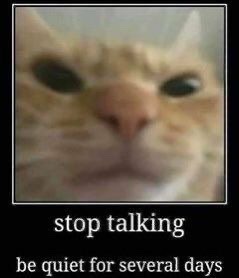 tumblr_1fb0888dc84a3c912d7450864cbb6dfd_6c825a6e_250.jpg