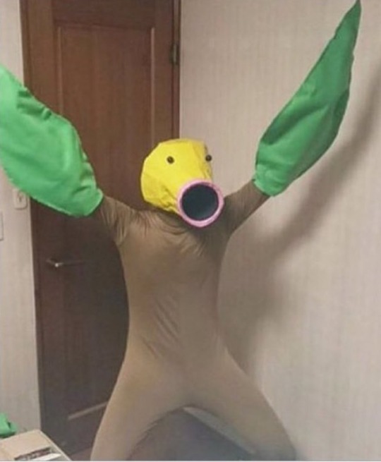 tumblr_otkfipnPSr1u1vkloo1_540.jpg