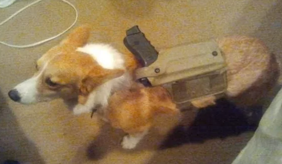 upload_2024-4-4_22-27-29.png