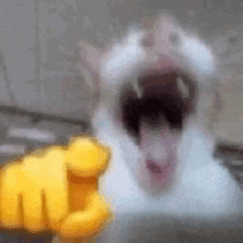 upload_2025-5-9_14-32-30.gif