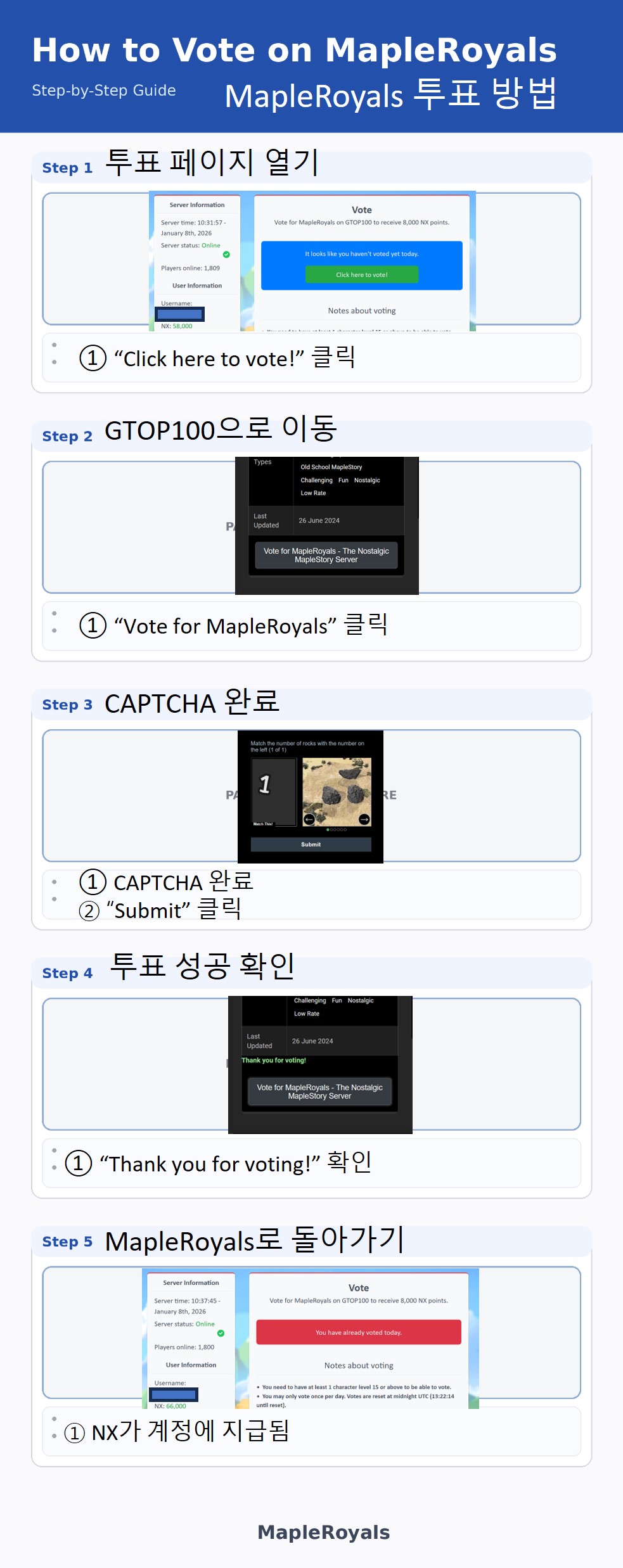 Vote Process (Korean).jpg
