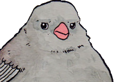 wekf3bird-removebg-preview.png