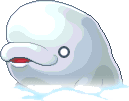 whitedolphin.png