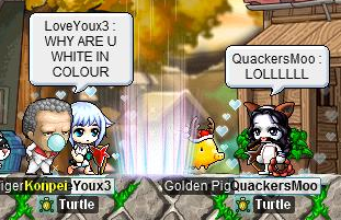 why.PNG
