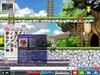 Maple0001.jpg