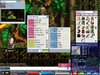 Maple0000.jpg