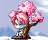 Cherry Blossoms.png