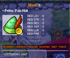 Peter Pan Hat.png