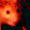 rrrrrrx.gif